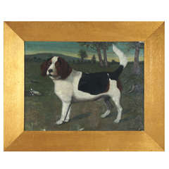 Antique 19th c Beagle Portrait