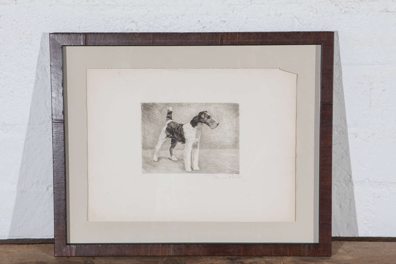This beautifully etched print of a stately terrier is an eye-catching piece.
It has been newly framed in a dark wood frame with hanging attachments and is ready for installation. This artwork is a great addition to a diversity of collections and