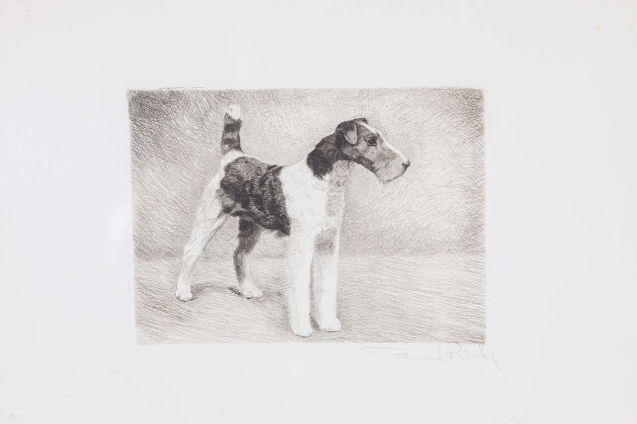 American 1940s Etching of Standing Dog Terrier in Wooden Frame