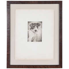 Framed Etching of Dog, Terrier Framed Etching of Dog, Terrier