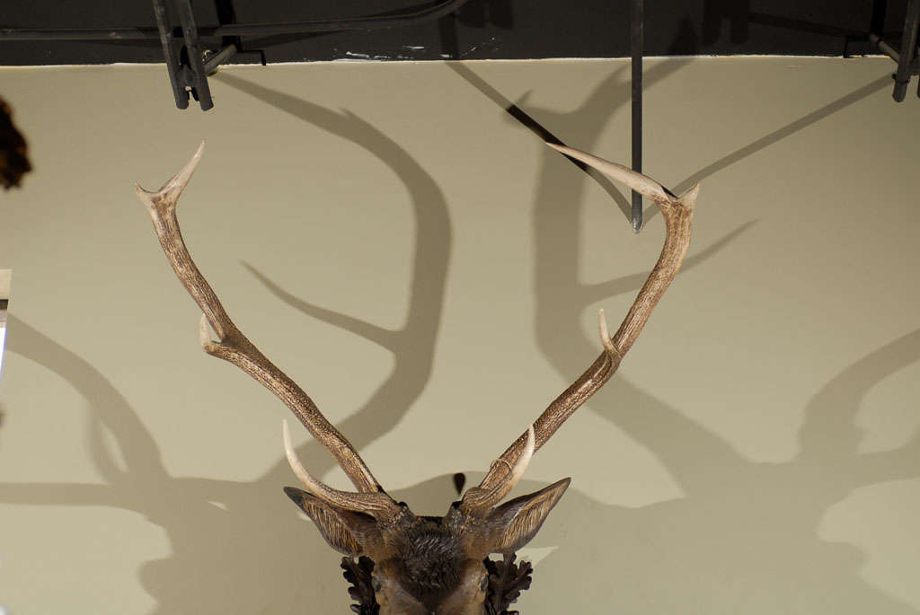 19th Century Carved Antler Trophy
