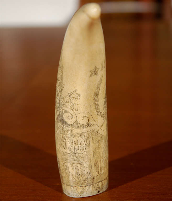 20th Century C. 1862 Whale's Tooth with Scrimshaw