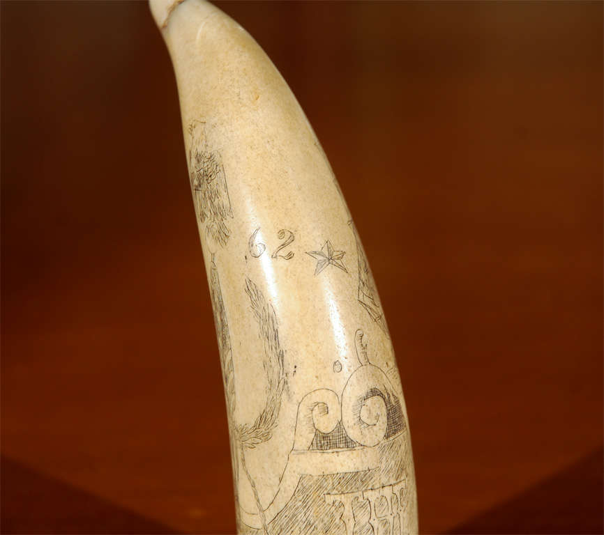 C. 1862 Whale's Tooth with Scrimshaw 1