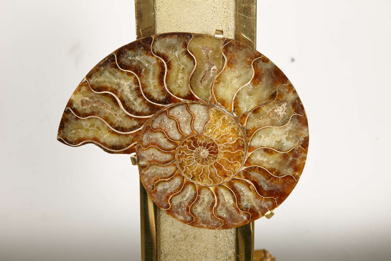 1970s Bronze Lamp with Ammonite by Van Heeck In Excellent Condition In Bois-Colombes, FR