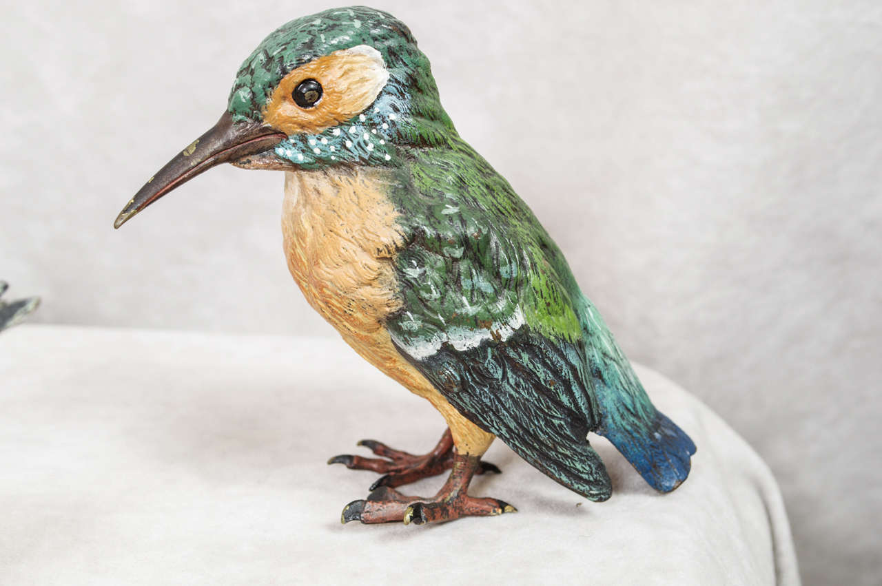 Austrian Beautiful Collection of Vienna Bronze Cold-Painted Birds