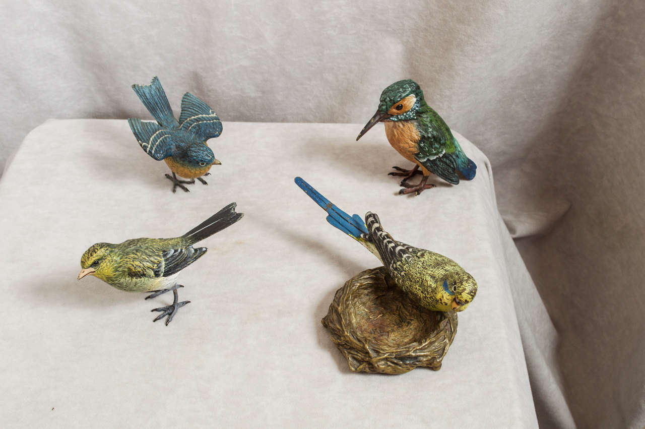 Beautiful Collection of Vienna Bronze Cold-Painted Birds 1