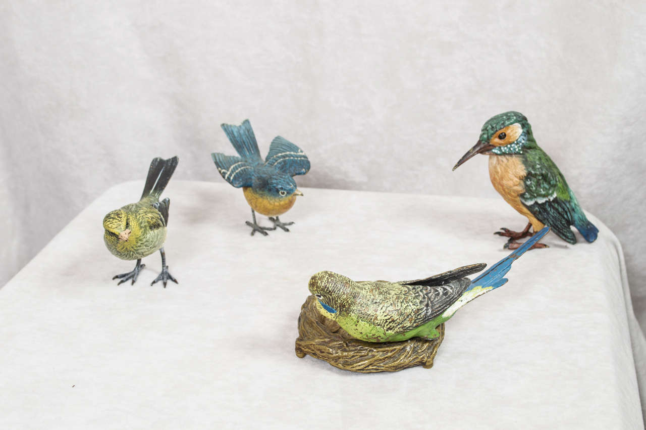 Beautiful Collection of Vienna Bronze Cold-Painted Birds 3