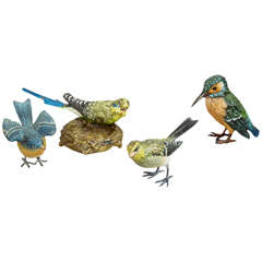Beautiful Collection of Vienna Bronze Cold-Painted Birds