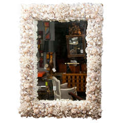 Large Shell and Coral Encrusted Mirror