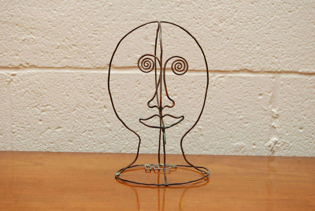 A Wired Face Contour