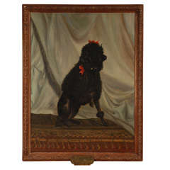 Oil Painting of Poodle