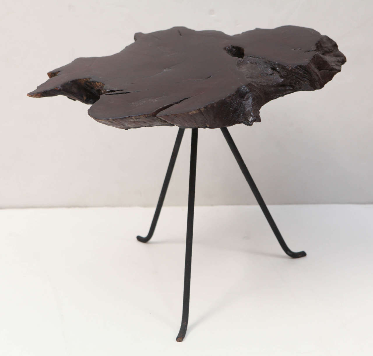 Tree Trunk Side Table