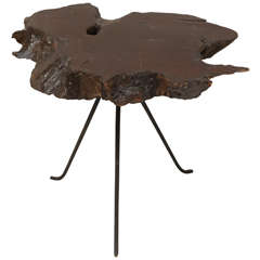 Tree Trunk Side Table