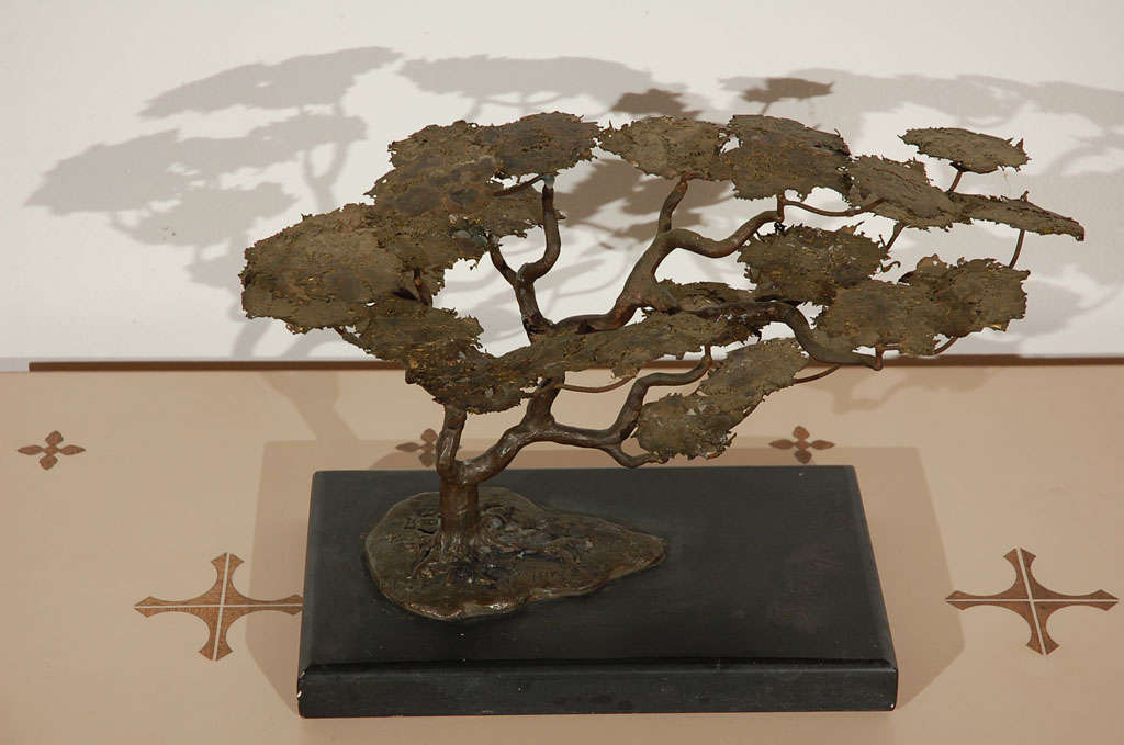 bronze bonsai tree