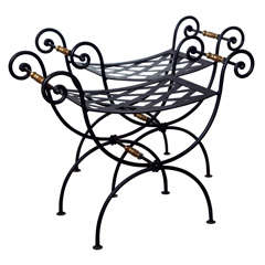 Pair of Ebonized Iron Benches 11
