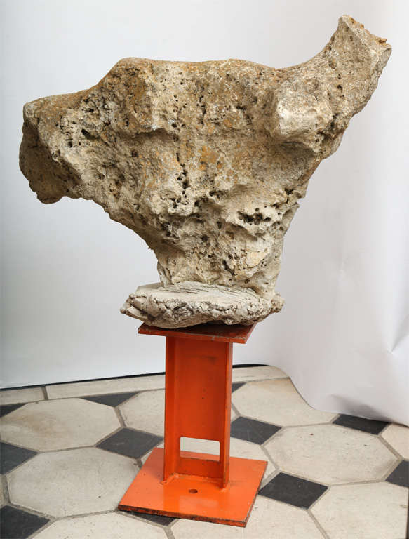 Coral Sculpture Natural Formation 1
