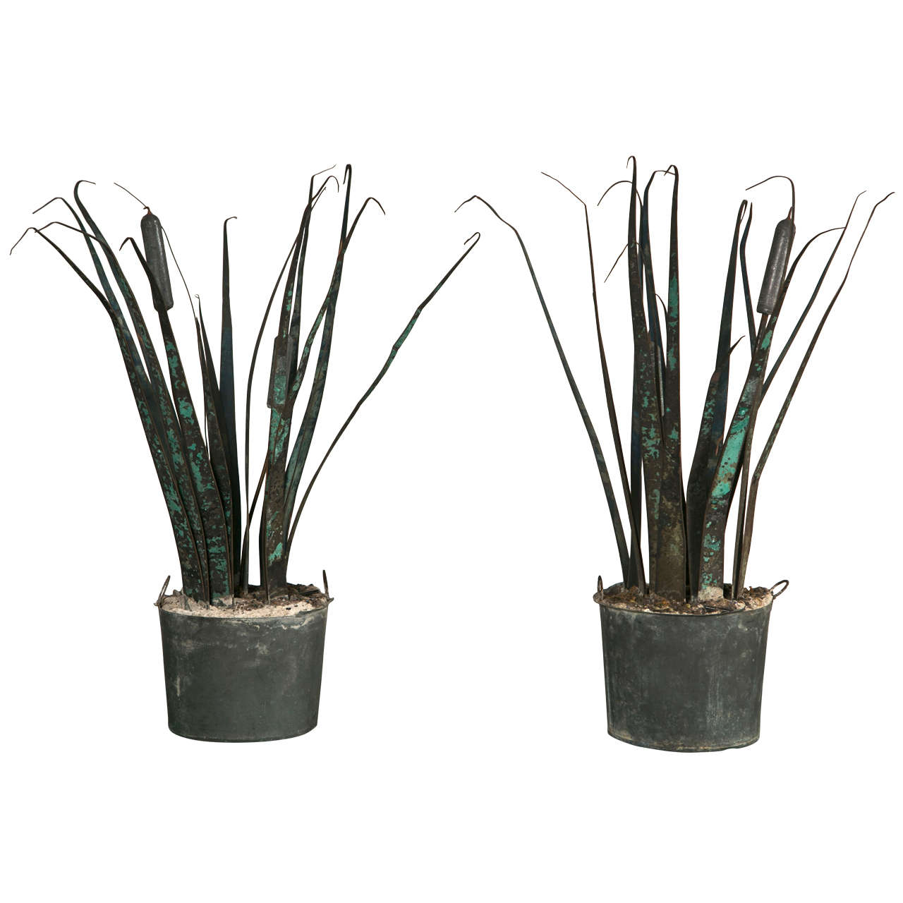 Pair of Ornamental Verdigree Copper Plants