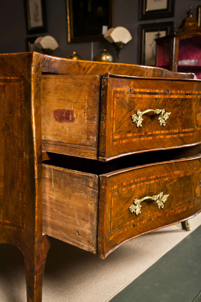Italian Rococo Neapolitan Chest of Drawers, Commode, 18th Century For Sale 3