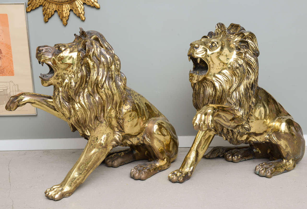 Classical Roman Pair of Large Brass Lions