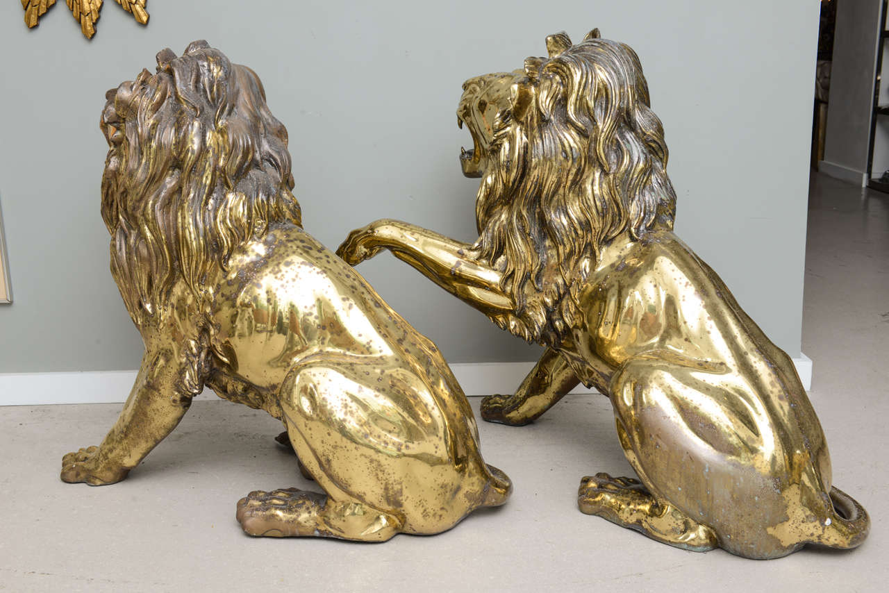 Unknown Pair of Large Brass Lions