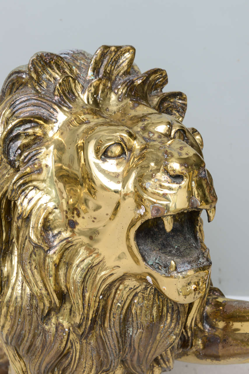 Pair of Large Brass Lions 2