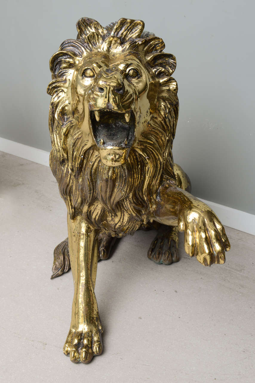 Pair of Large Brass Lions 4