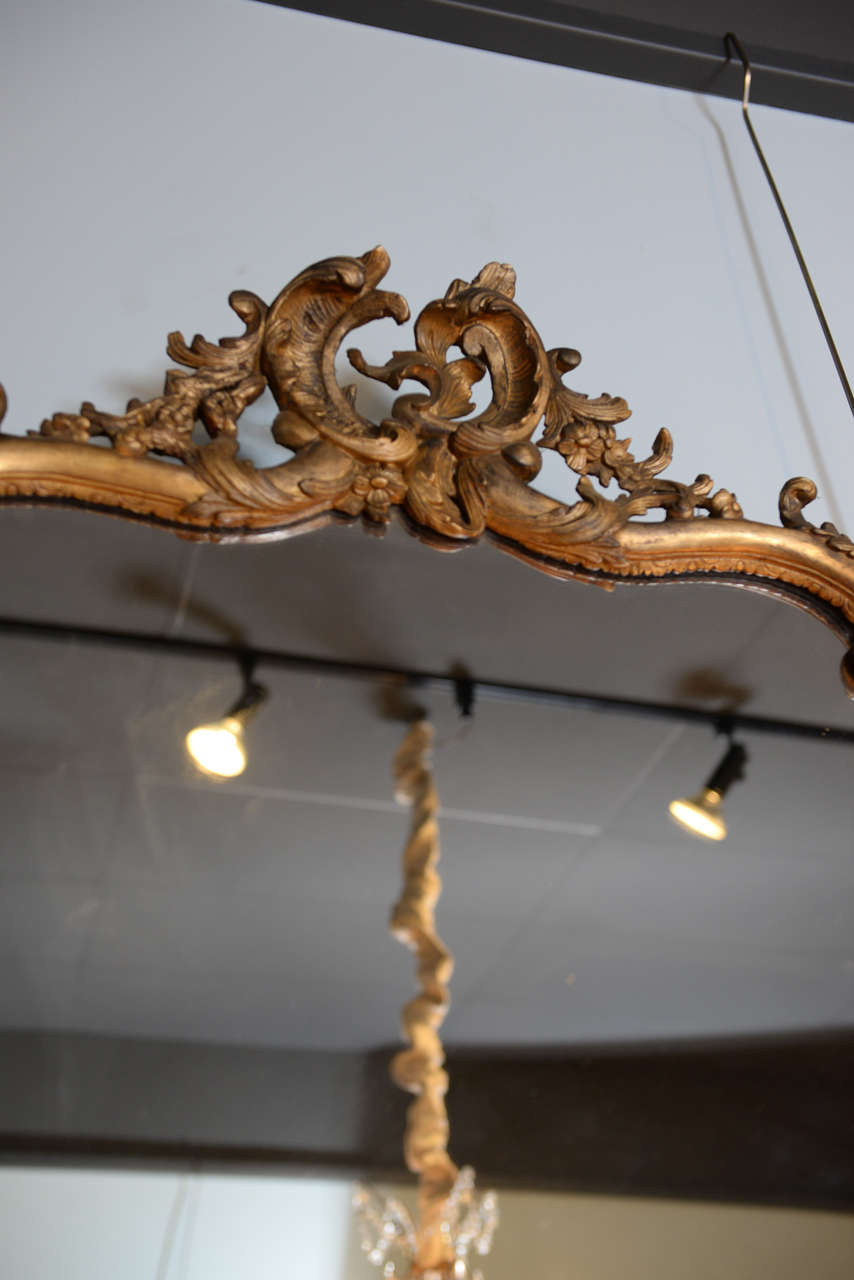 19th Century Louis XV Gilt Mirror In Excellent Condition In Atlanta, GA