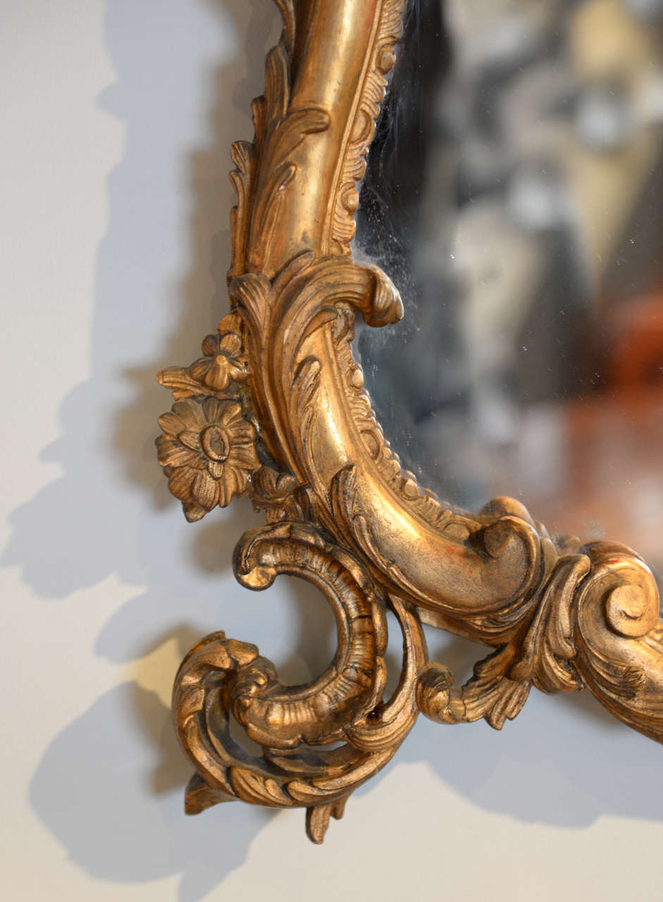 19th Century Louis XV Gilt Mirror 1