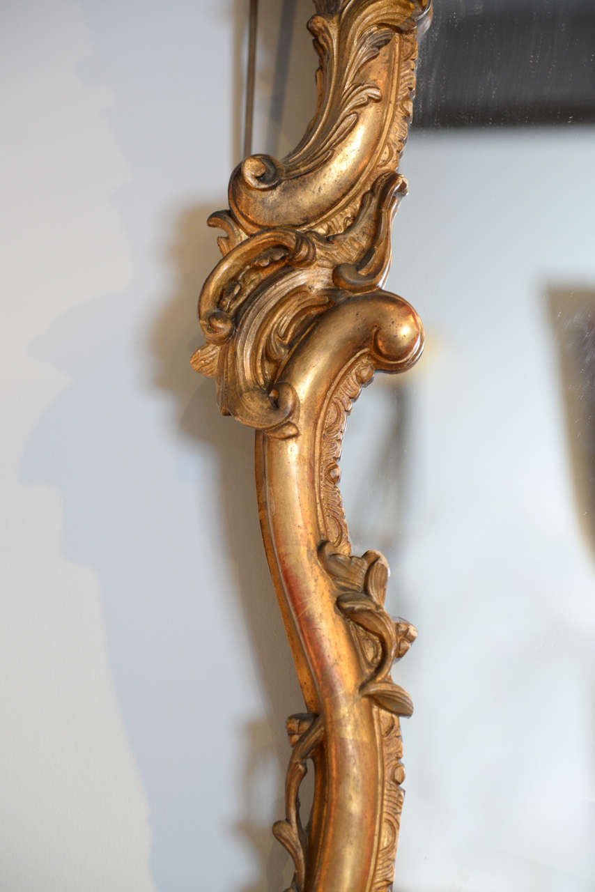 19th Century Louis XV Gilt Mirror 2