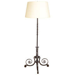 Curled and Twisted Iron Floor Lamp