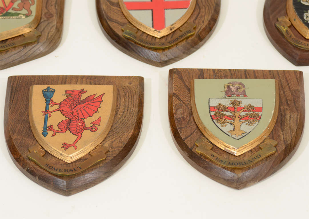 Set of 12 English Collegiate Armorial Plaques, Mid 20th Century 1