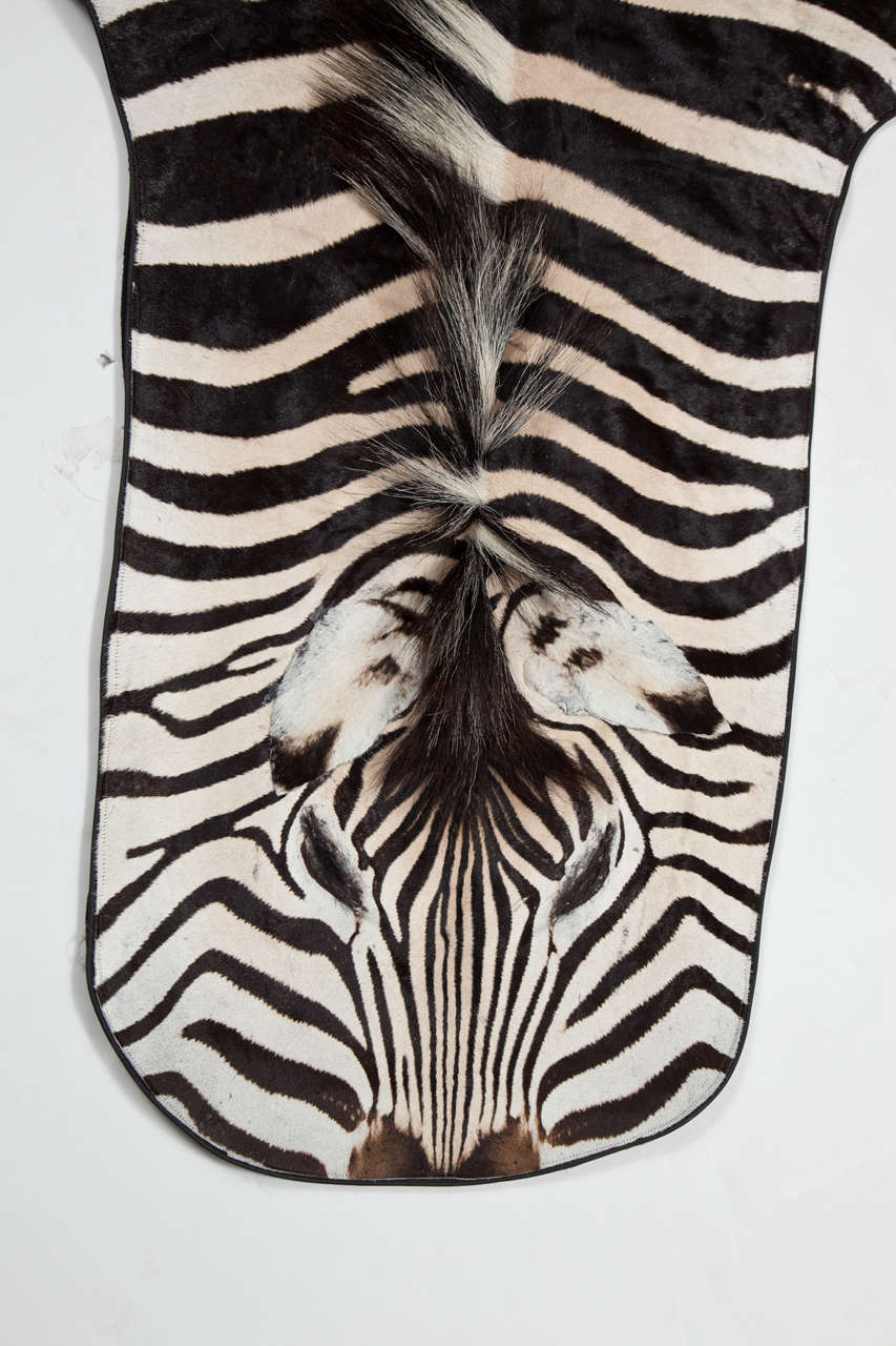 Zebra Rug In Excellent Condition In New York, NY