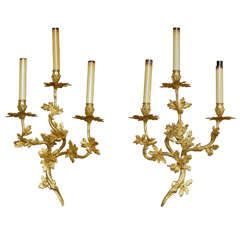 Large Pair of 18th Century French Rococo Style Wall Lights