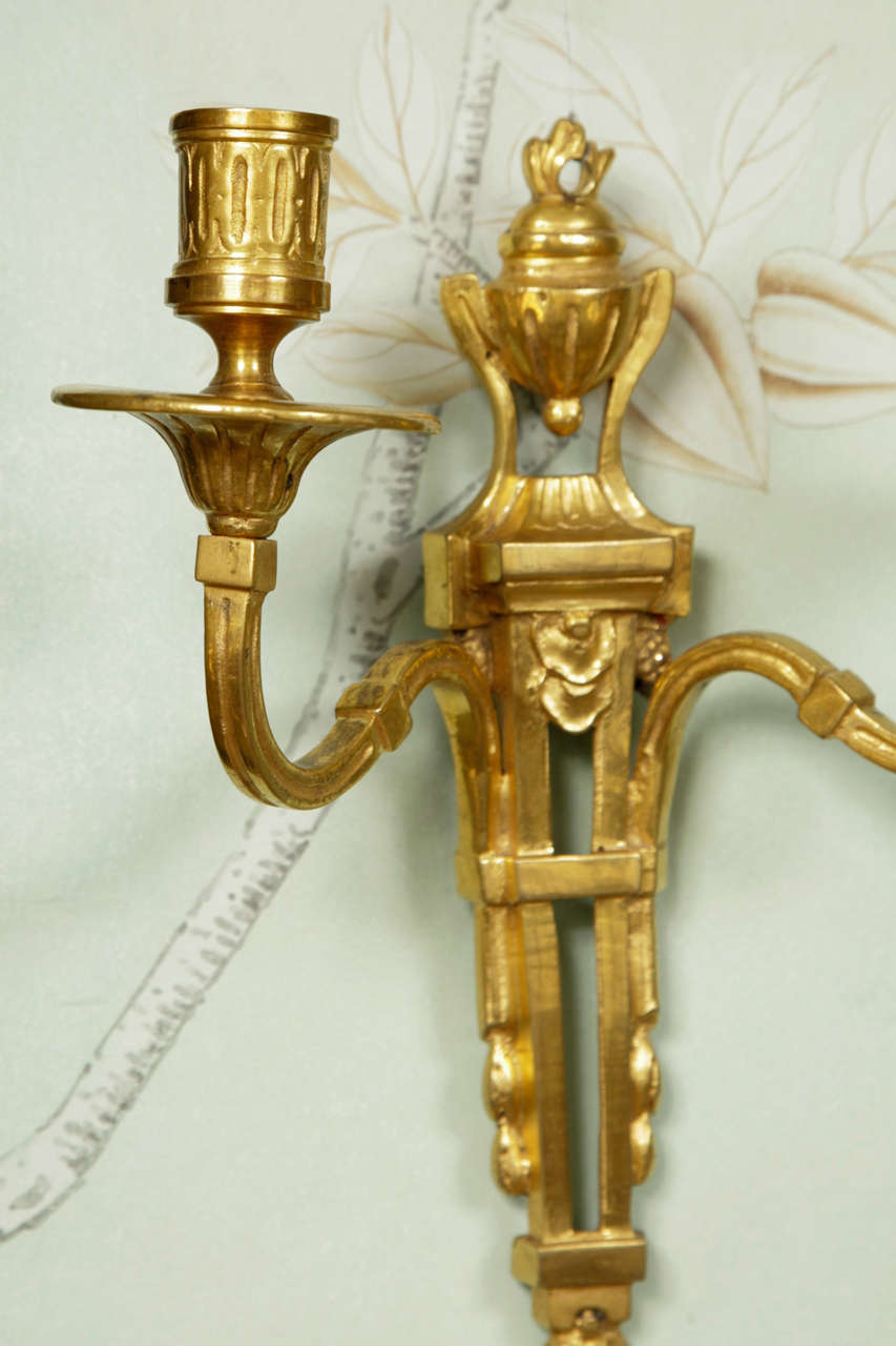 Pair of 18th Century French Louis XVI Small Ormolu Wall Appliques
