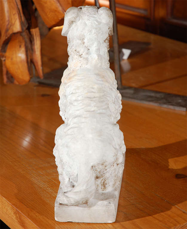 20th Century Marble Seated Dog For Sale