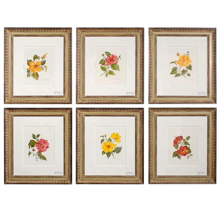6 Original watercolor flowers by Dora McDaniel