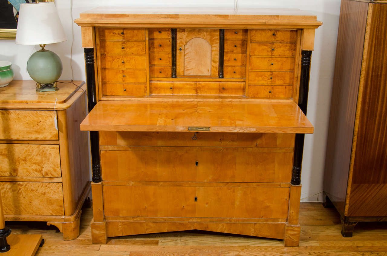 Biedermeier Secretaire in Birch