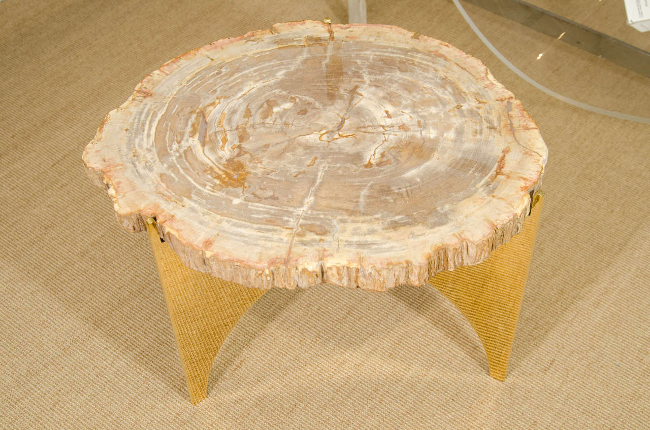 A Petrified Wood and Bronze Occasional Table by Eric Appel
