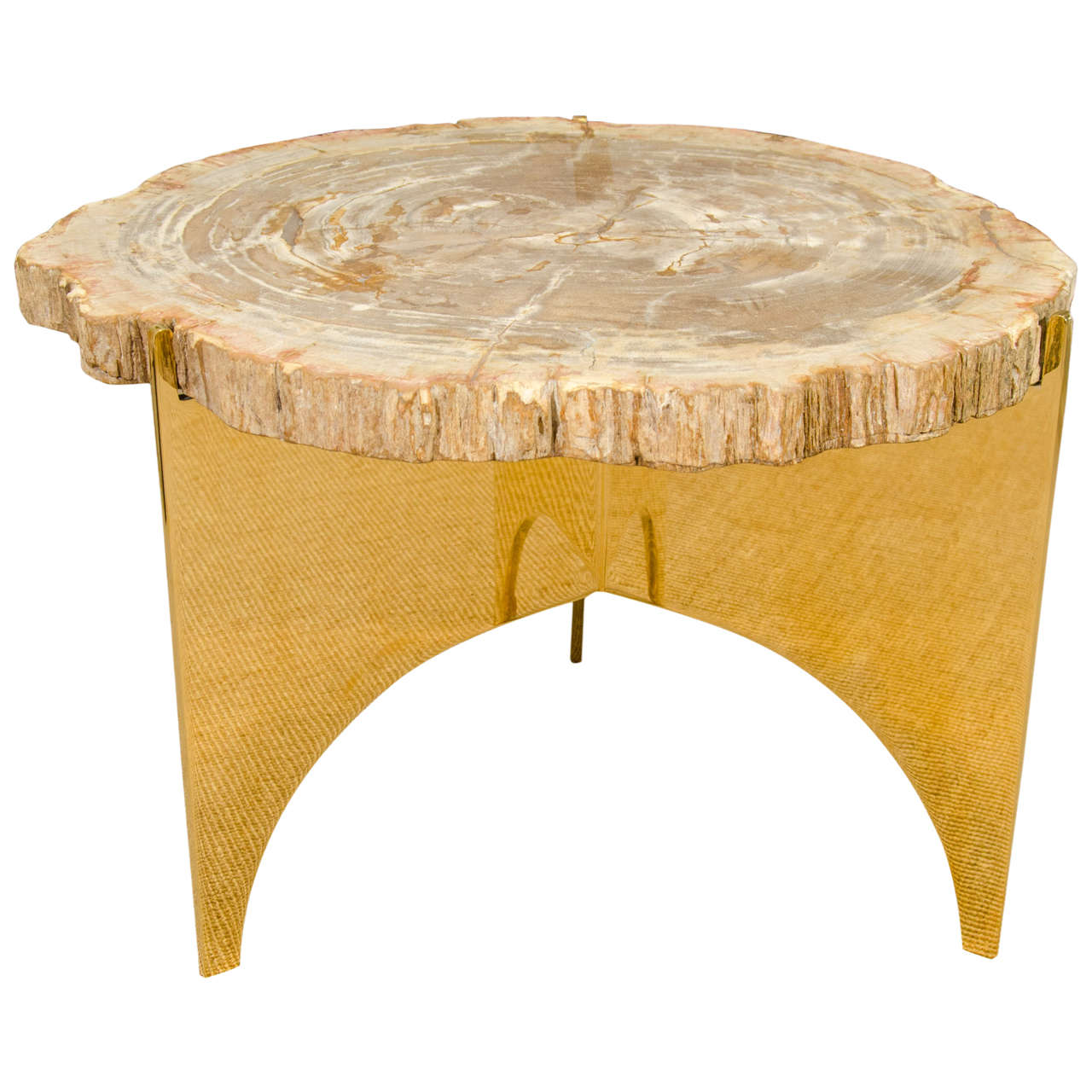 A Petrified Wood and Bronze Occasional Table