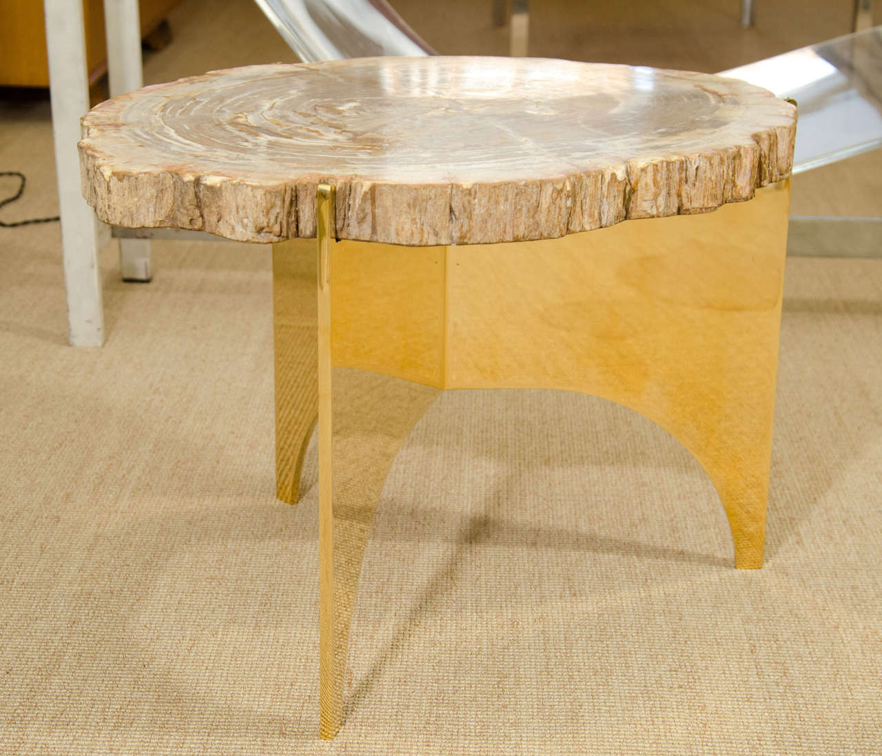 Contemporary A Petrified Wood and Bronze Occasional Table