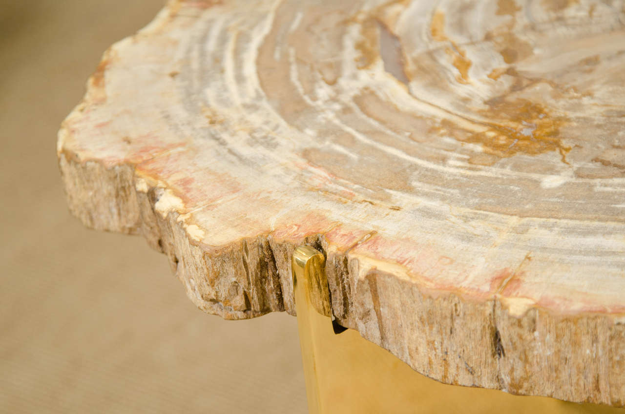 A Petrified Wood and Bronze Occasional Table 3