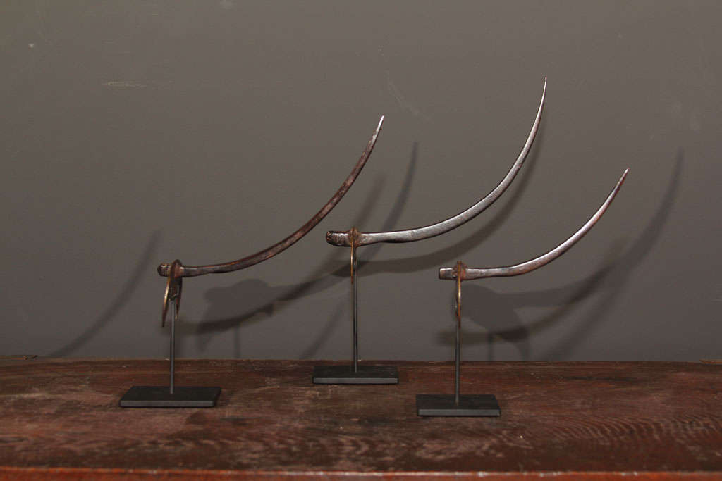 Group of three Chinese implements used for gathering and harvesting rice. The long tapering hooks of Buffalo horn ending with a fitted brass blade. The crescent shaped blade tapered to a point at end, wider near handle. Worn remains of designs on