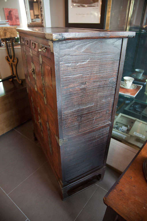 Antique Asian Iron gated , cedar wood Tea cabinet 1