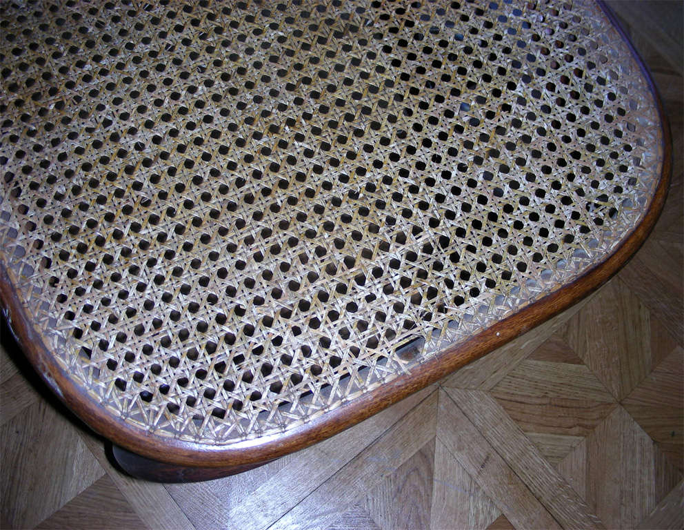 1900s Rare Chaise Longue by Thonet For Sale 4