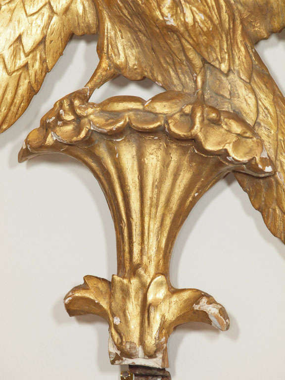 19th c European Carved Giltwood Empire Style Perched Eagle Fragment For Sale 1