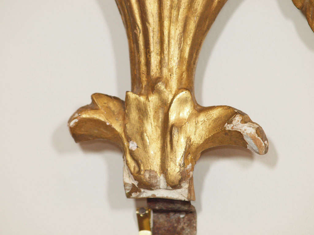 19th c European Carved Giltwood Empire Style Perched Eagle Fragment For Sale 3