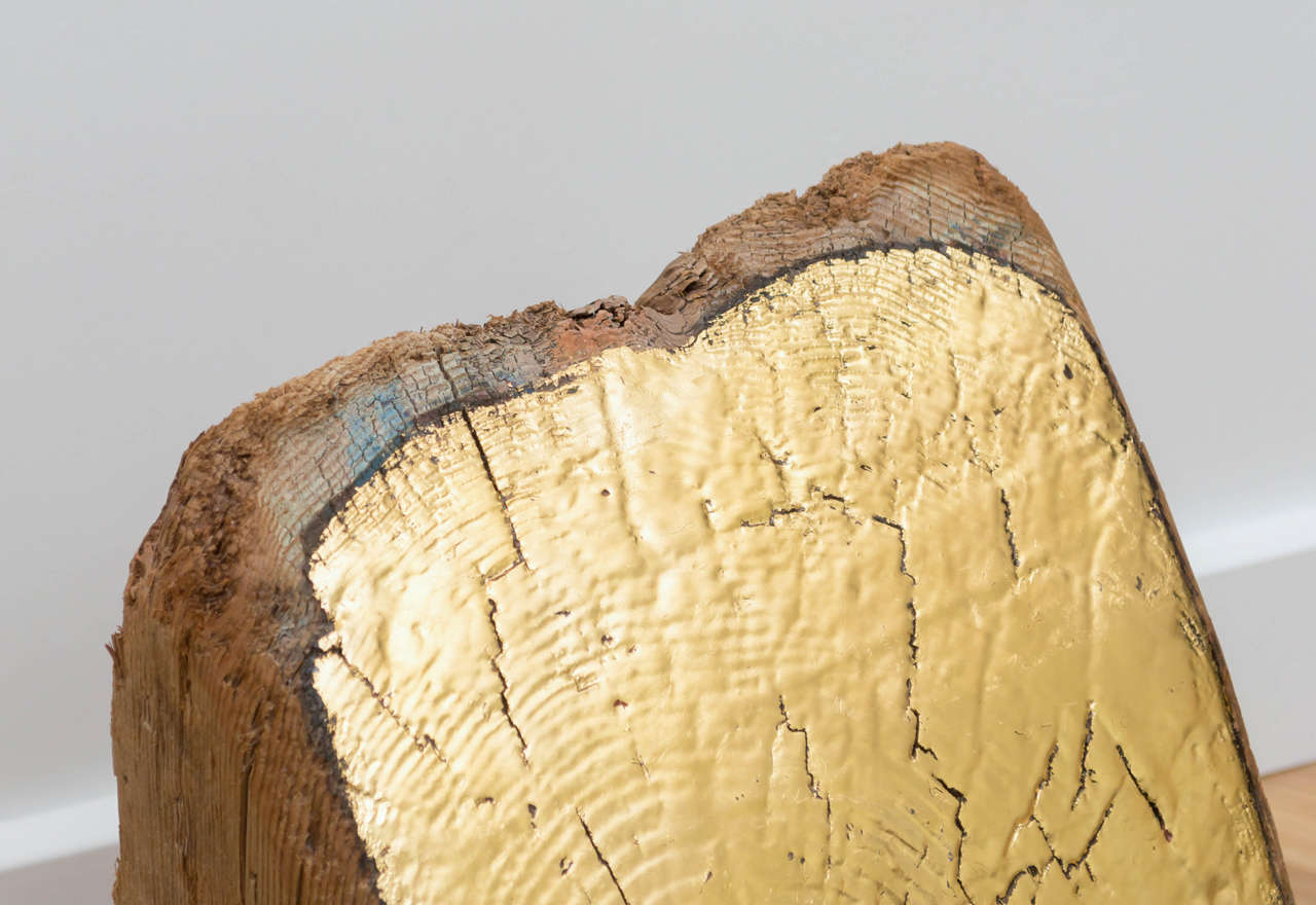 24 Karat Gold Leaf on Wood Titled, "If I Were a Tree, How Old Would I