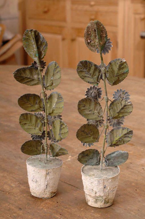 Early 19th Century Tole Flower Pots of Marguerite Daisies 1