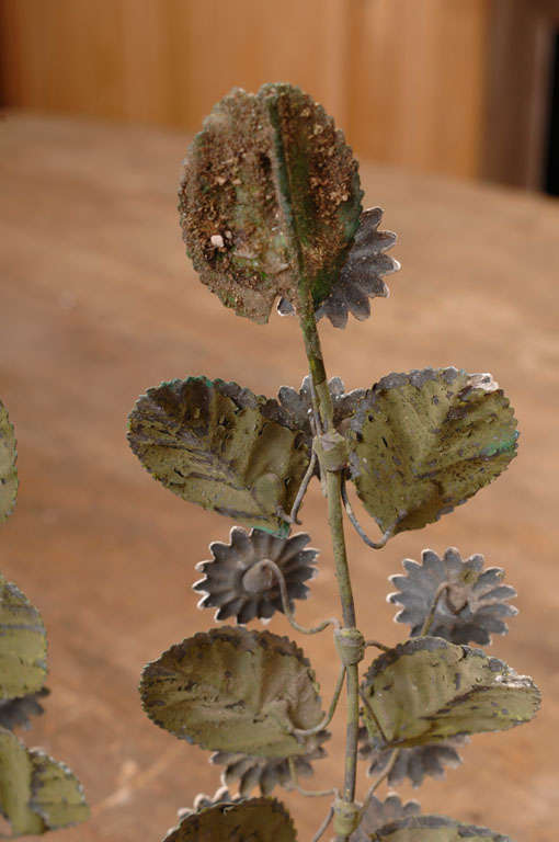 Early 19th Century Tole Flower Pots of Marguerite Daisies 2