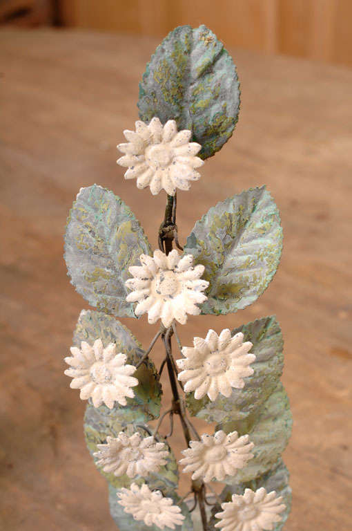 Early 19th Century Tole Flower Pots of Marguerite Daisies 3